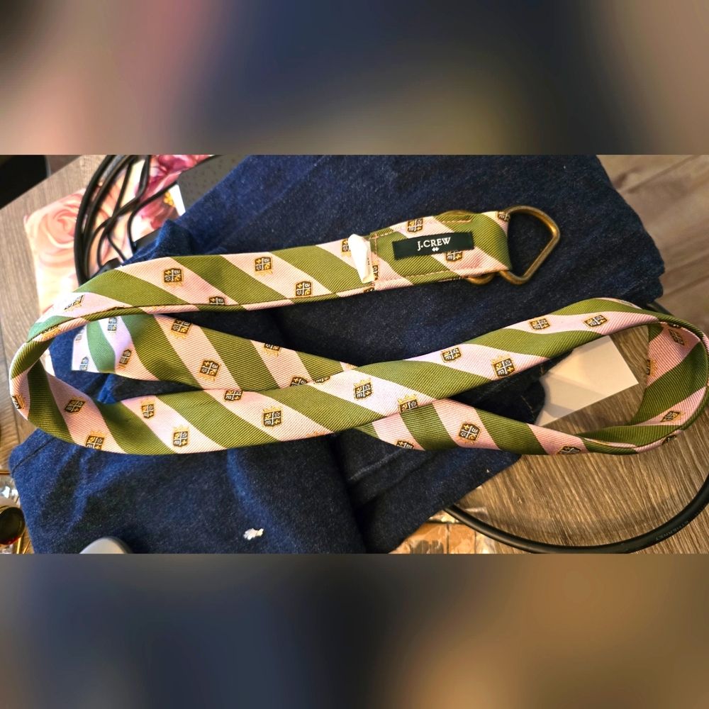 J. Crew Pink and Olive Green Striped Webbing Belt with Brass Buckle